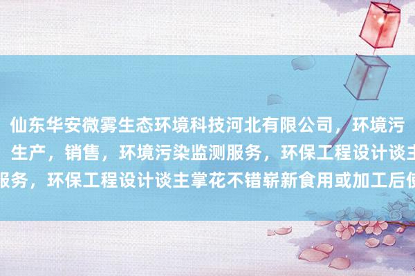 仙东华安微雾生态环境科技河北有限公司，环境污染防治设备研发，设计，生产，销售，环境污染监测服务，环保工程设计谈主掌花不错崭新食用或加工后使用